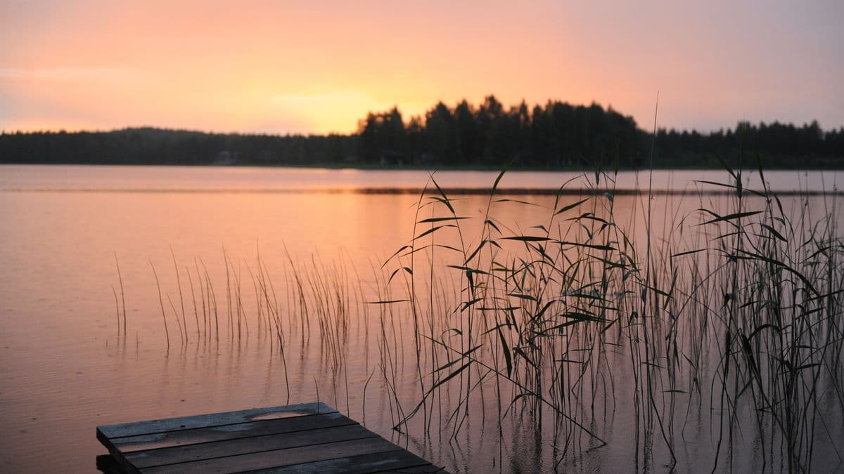 How to Set Boundaries With Immigrant Parents Without the Guilt Calm lake at sunset with a wooden pier reaching toward still water